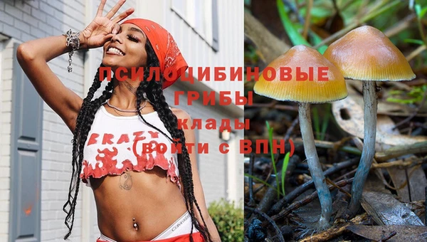 spice Алексин