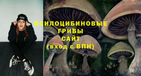 герыч Алзамай