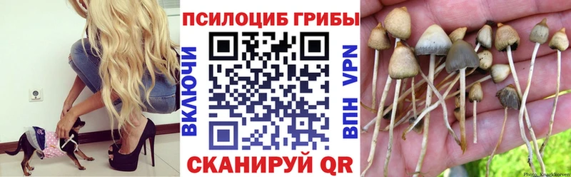 shop наркотические препараты  Ковров  mega ONION  Псилоцибиновые грибы прущие грибы  где продают наркотики 