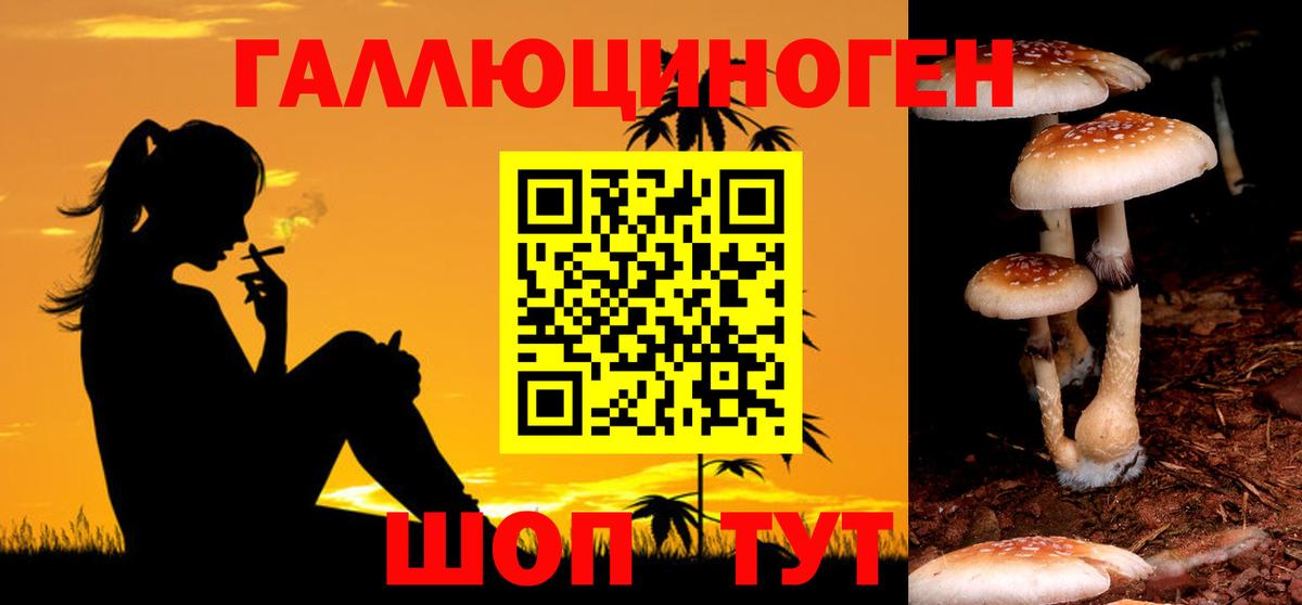 купить закладку  Вход с VPN  Ковров  Галлюциногенные грибы MAGIC MUSHROOMS 